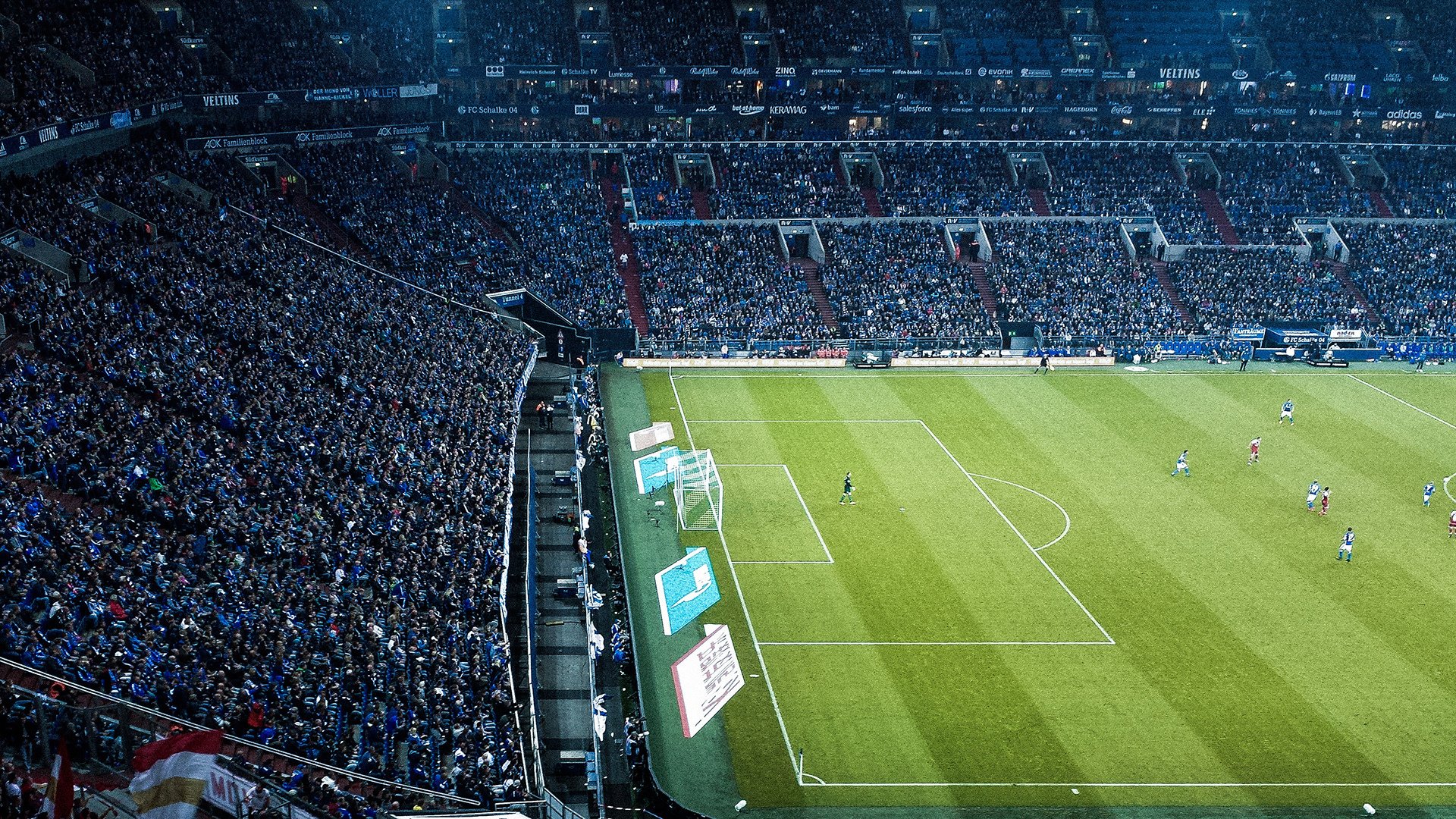 凯瑟琳·伯科夫女子50米仰泳决赛夺冠瞬间，女子50米仰泳半决赛